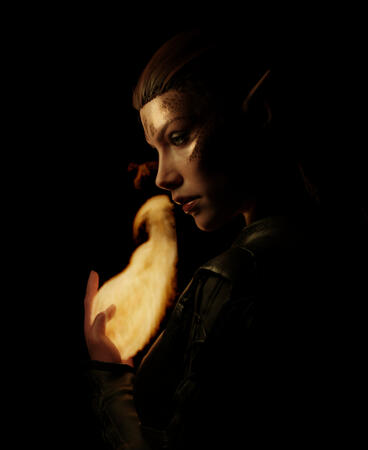 Half-Elf Sorcerer Tav